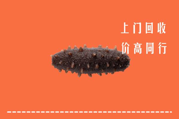 黄冈高价回收海参