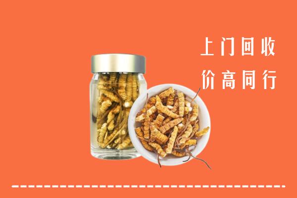 高价求购：黄冈回收冬虫夏草